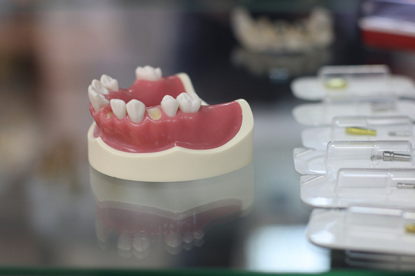 Гнатология  (17)