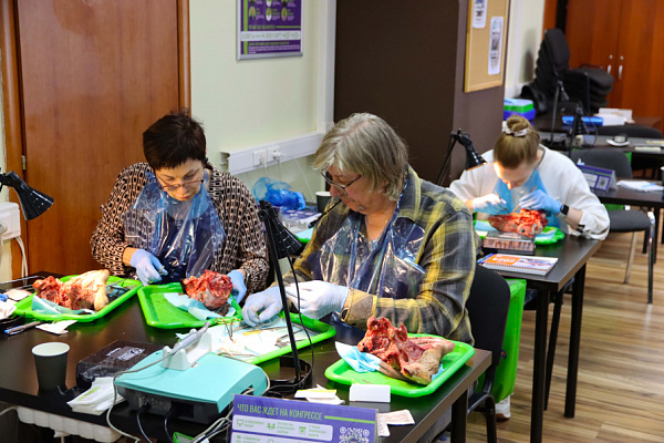 мягкие ткани (21)