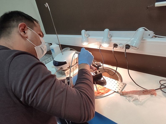 4 Продвинутый курс по имплантации. Костная пластика - общая галерея