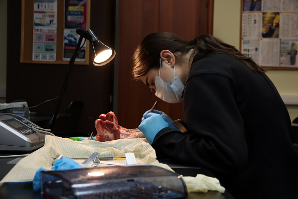 4 Дентальная имплантация с одновременной пластикой мягких тканей в сложных клинических случаях