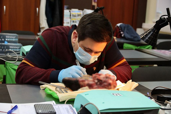 2 Атравматичное удаление зубов и методики наложения швов. Лектор Хабиев К.Н. - общая галерея