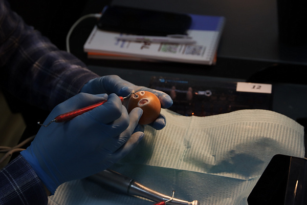 7 Продвинутый курс по имплантации - общая галерея