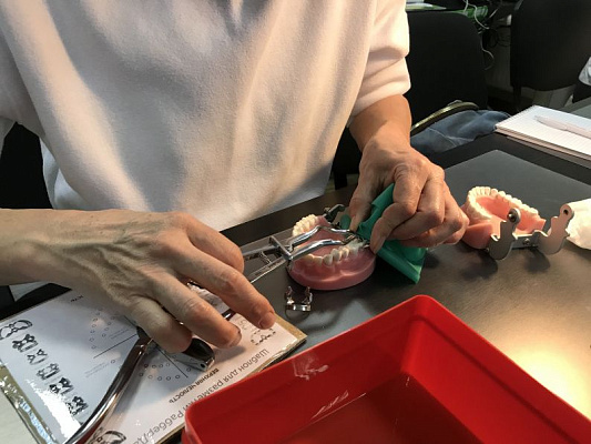 8 Коффердам. Легкий старт - общая галерея