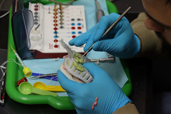 6 Ортопедия. Уровень Intermediate - общая галерея