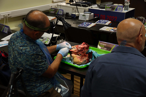 мягкие ткани (14)