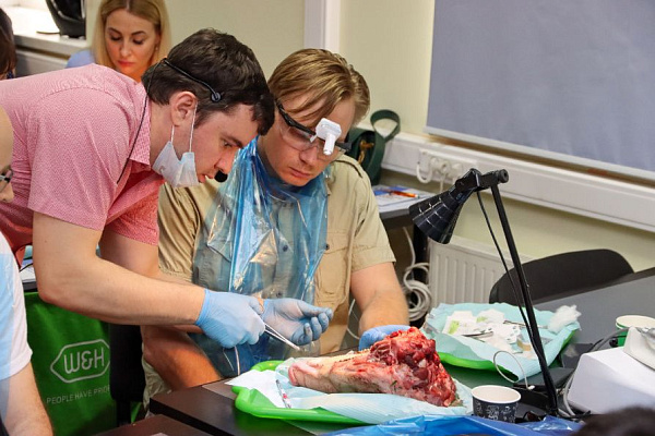 9 Пластика мягких тканей вокруг имплантатов. Морфологический подход - общая галерея