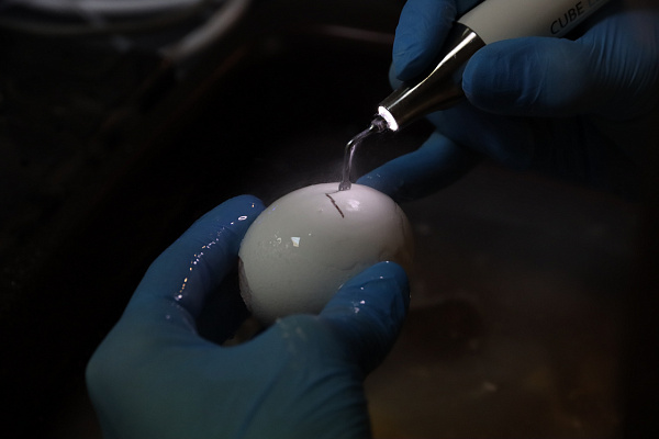 8 Продвинутый курс по имплантации. Костная пластика - общая галерея