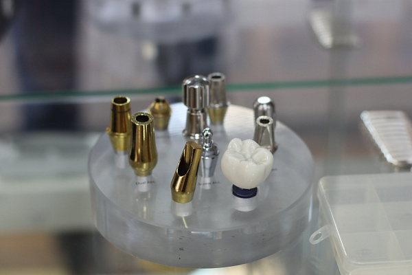 Гнатология  (19)