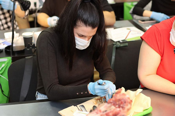 5 Атравматичное удаление зубов и методики наложения швов. Лектор Хабиев К.Н. - общая галерея