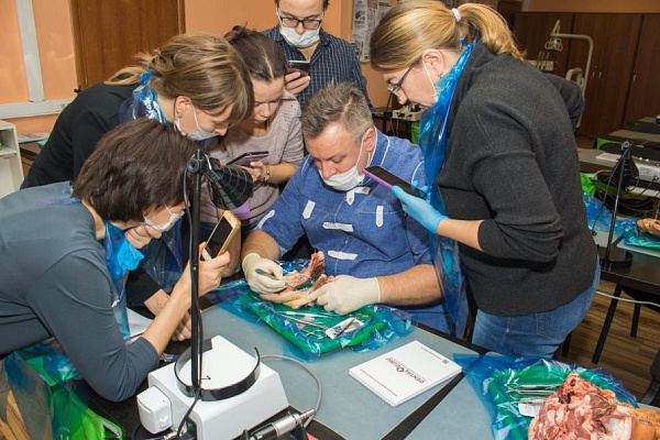 6 Хирургический курс по пародонтологии - общая галерея