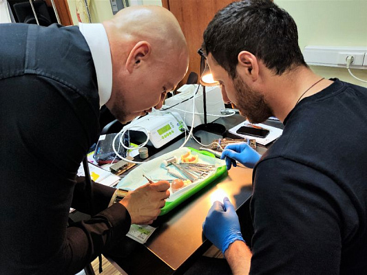 2 Продвинутый курс по имплантации - общая галерея