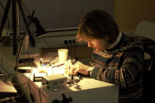 1 Прямые реставрации повышенной прочности. Эффективная альтернатива ортопедии: стекловолоконные каркасные конструкции - общая галерея