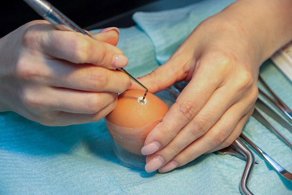 6 Продвинутый курс по имплантации - общая галерея