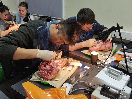 7 Пластика мягких тканей вокруг имплантатов. Морфологический подход - общая галерея