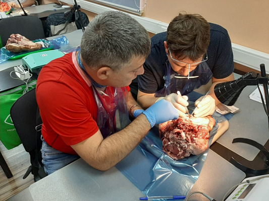 5 Пластика мягких тканей вокруг имплантатов. Морфологический подход - общая галерея