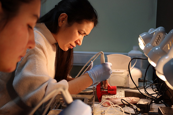 6 Продвинутый курс по имплантации. Костная пластика - общая галерея