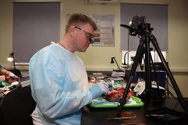 мягкие ткани (7)