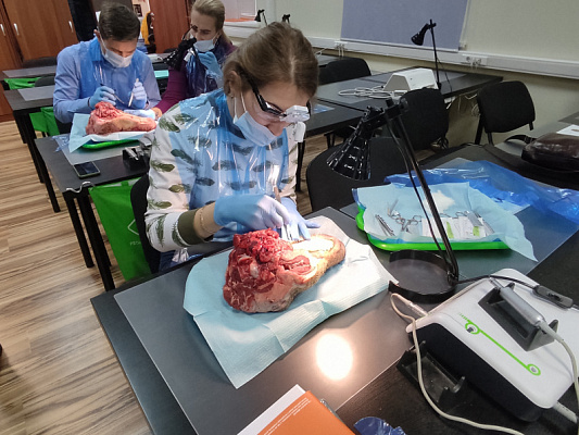 8 Пластика мягких тканей вокруг имплантатов. Морфологический подход - общая галерея