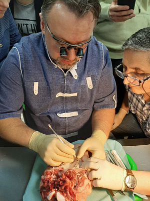 2 Хирургический курс по пародонтологии - общая галерея