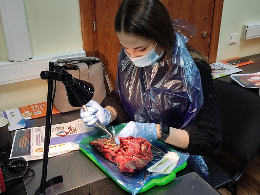 9 Атравматичное удаление зубов и методики наложения швов. Лектор Хабиев К.Н. - общая галерея