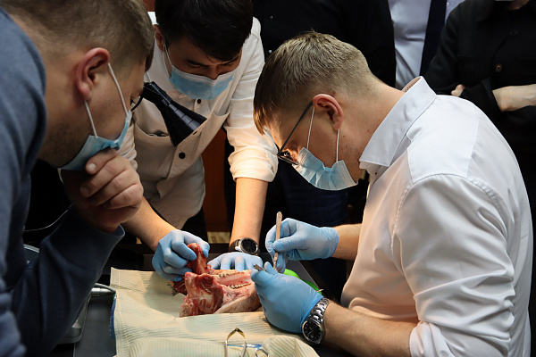 1 Дентальная имплантация с одновременной пластикой мягких тканей в сложных клинических случаях - общая галерея