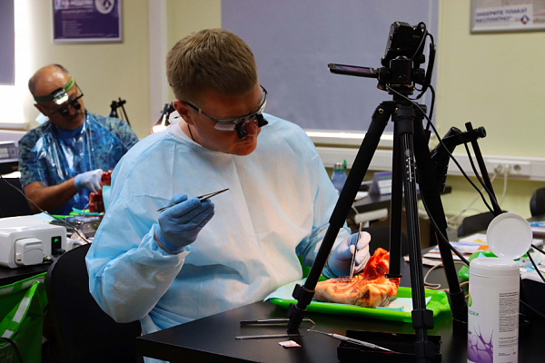 мягкие ткани (22)