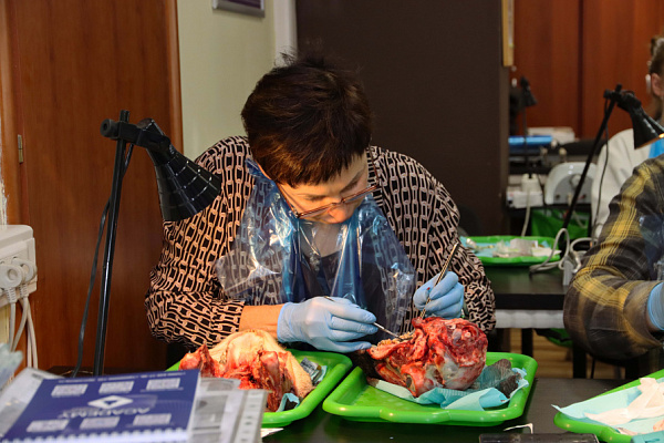 мягкие ткани (10)