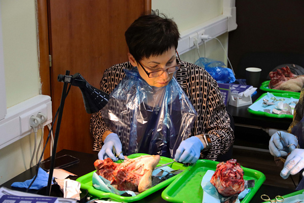 мягкие ткани (20)