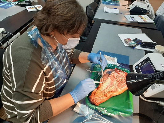 6 Пластика мягких тканей вокруг имплантатов. Морфологический подход - общая галерея