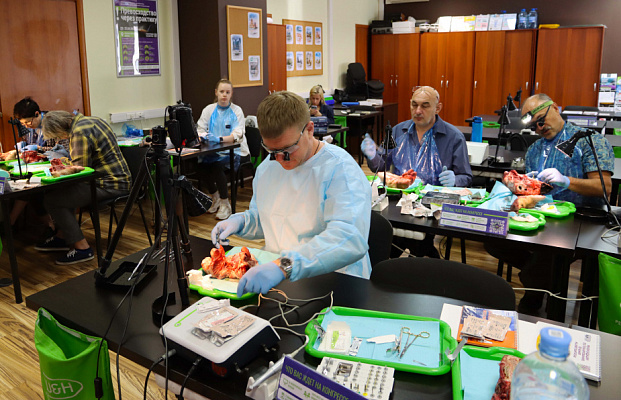 мягкие ткани (16)