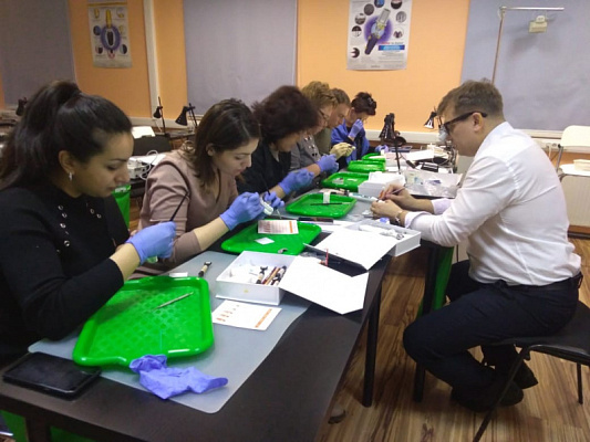 7 Прямые композитные виниры. Полный алгоритм и немного больше