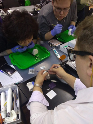 2 Прямые композитные виниры. Полный алгоритм и немного больше