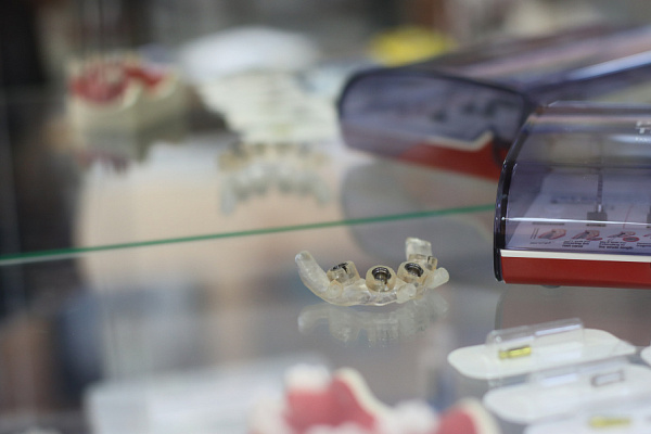 Гнатология  (18)