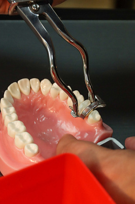 3 Коффердам. Легкий старт - общая галерея