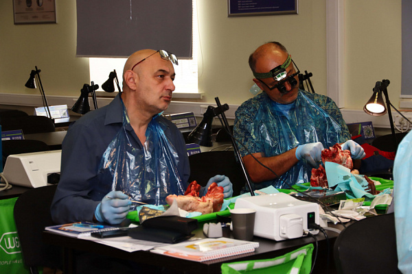 мягкие ткани (11)