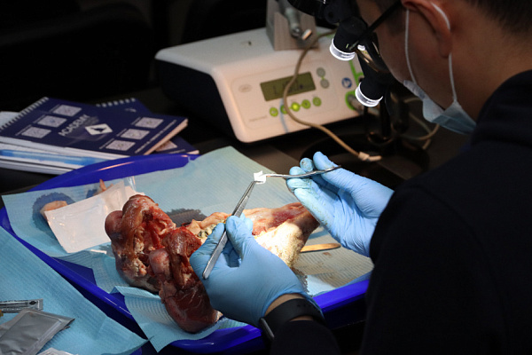 19.11.2023 Лысов _ (7)