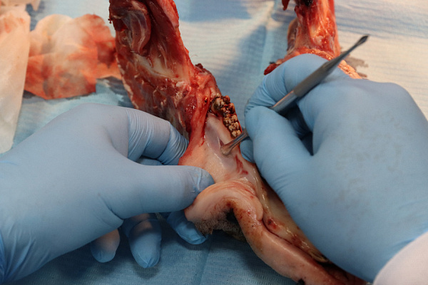 19.11.2023 Лысов _ (35)