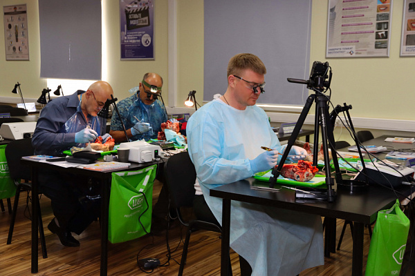 мягкие ткани (8)