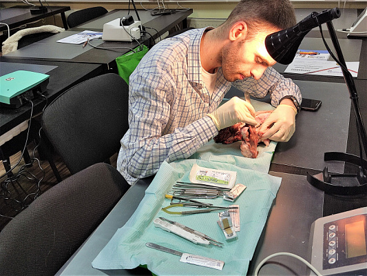 9 Хирургический курс по пародонтологии - общая галерея