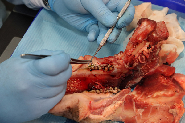 19.11.2023 Лысов _ (3)